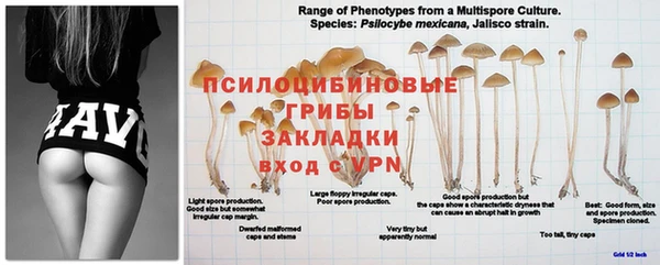 мефедрон Богданович